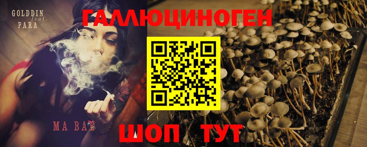 Галлюциногенные грибы Cubensis  Псилоцибиновые грибы Psilocybine cubensis  где купить наркотик  Вход с VPN  Благодарный 